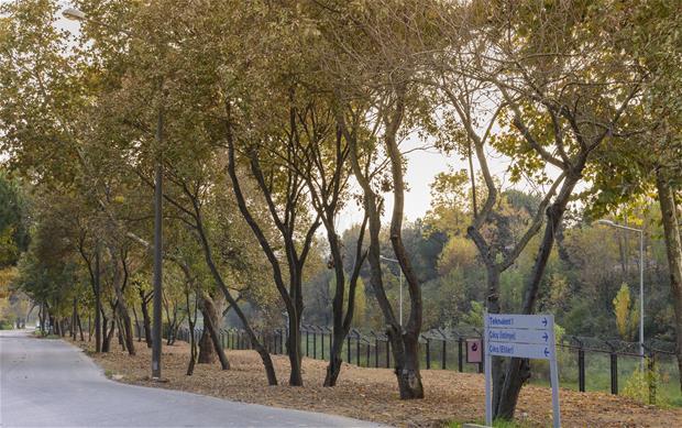 Askeriye yakınındaki bisiklet yolu Askeriye yakınındaki alanda hizmete sunulan bisiklet yolu
