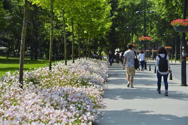 yesil_kampus_2018 (3)